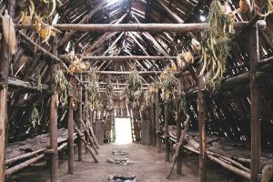 longhouse-reference2