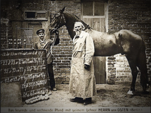 Clever Hans with owner Wilhelm von Osten