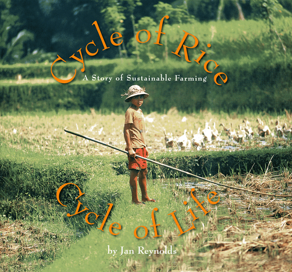 Cover of Cycle of Rice, Cycle of Life